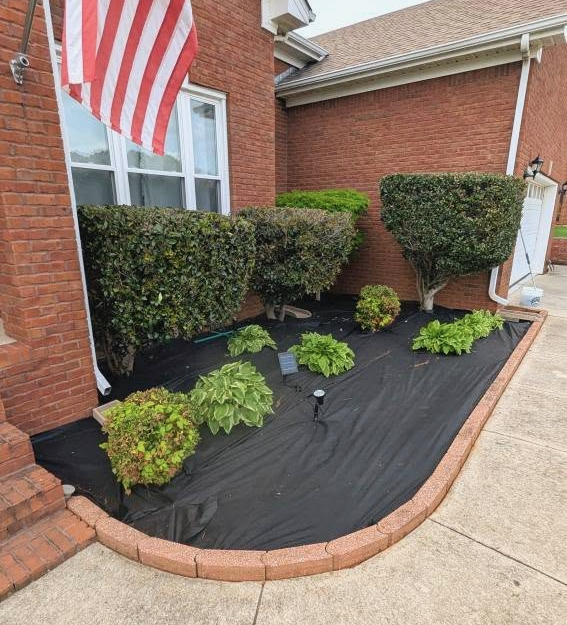 Flag & Shrubs